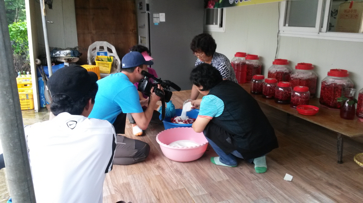 우리 미자씨를 찾아주세요!